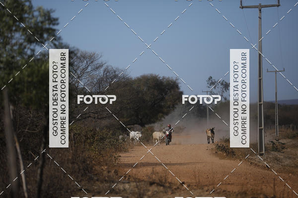 Buy your photos of the eventRally dos Sert�es 2018 on Fotop