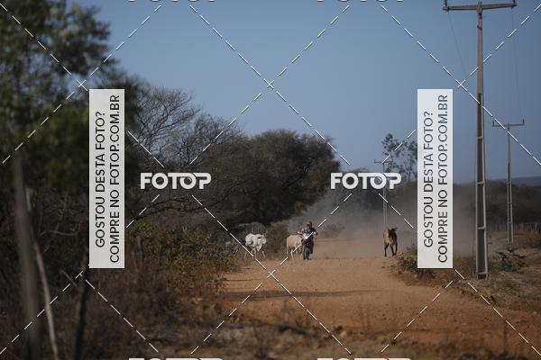 Buy your photos of the eventRally dos Sert�es 2018 on Fotop