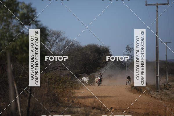 Buy your photos of the eventRally dos Sert�es 2018 on Fotop