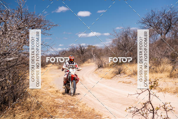 Buy your photos of the eventRally dos Sertes 2018 on Fotop