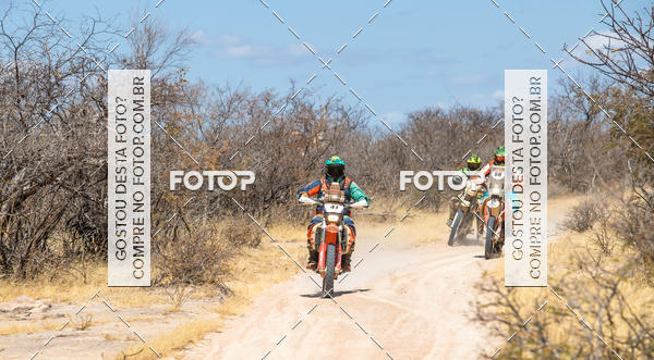 Buy your photos of the eventRally dos Sert�es 2018 on Fotop