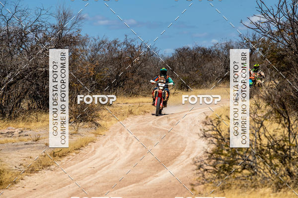 Buy your photos of the eventRally dos Sert�es 2018 on Fotop