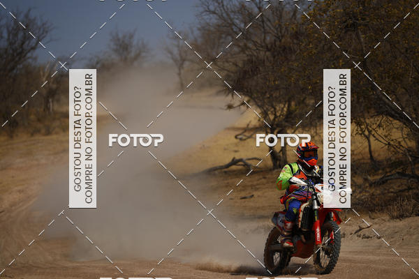 Buy your photos of the eventRally dos Sert�es 2018 on Fotop