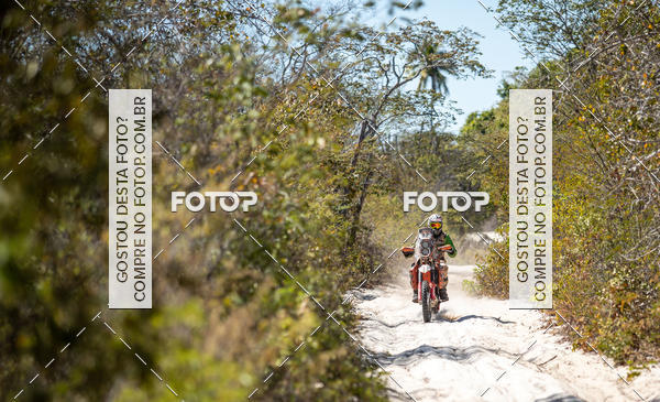 Buy your photos of the eventRally dos Sert�es 2018 on Fotop