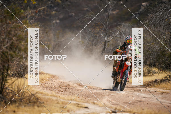 Buy your photos of the eventRally dos Sert�es 2018 on Fotop