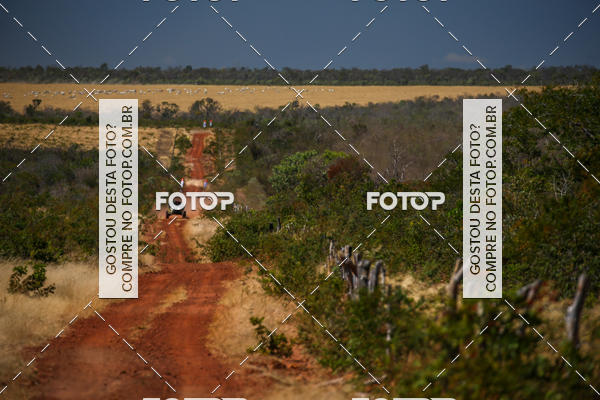 Buy your photos of the eventRally dos Sertes 2018 on Fotop