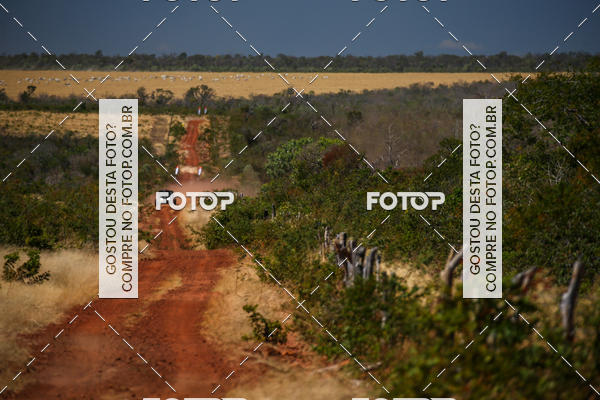 Buy your photos of the eventRally dos Sertes 2018 on Fotop