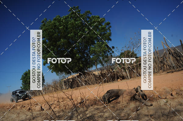 Buy your photos of the eventRally dos Sert�es 2018 on Fotop