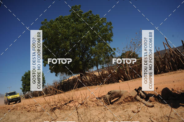 Buy your photos of the eventRally dos Sert�es 2018 on Fotop