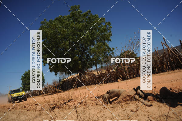 Buy your photos of the eventRally dos Sert�es 2018 on Fotop