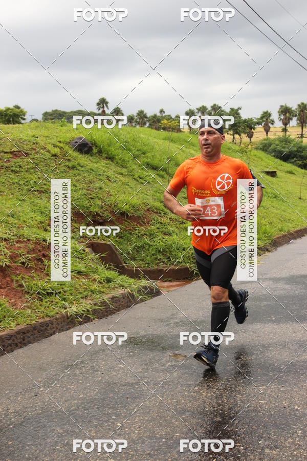 Buy your photos of the event3� Corrida Pernas de Aluguel 10K on Fotop
