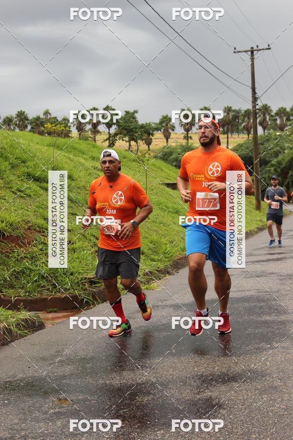Buy your photos of the event3� Corrida Pernas de Aluguel 10K on Fotop