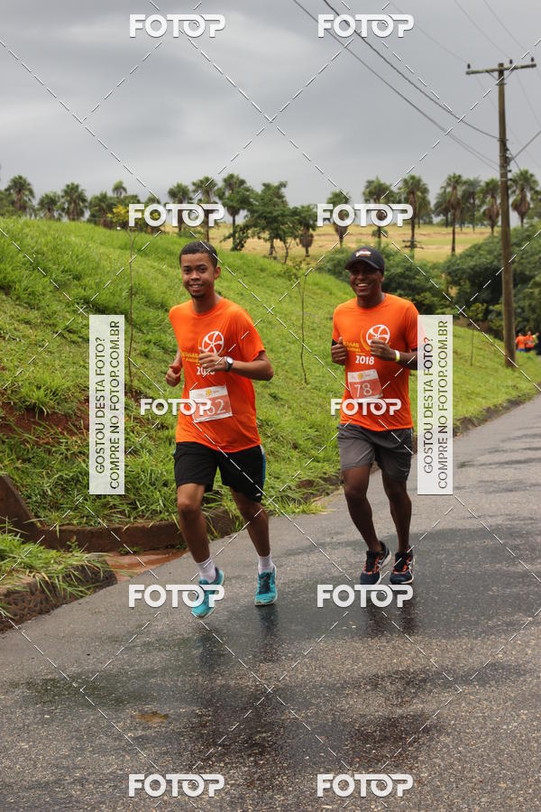 Buy your photos of the event3� Corrida Pernas de Aluguel 10K on Fotop