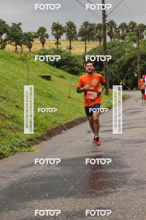 Buy your photos of the event3� Corrida Pernas de Aluguel 10K on Fotop