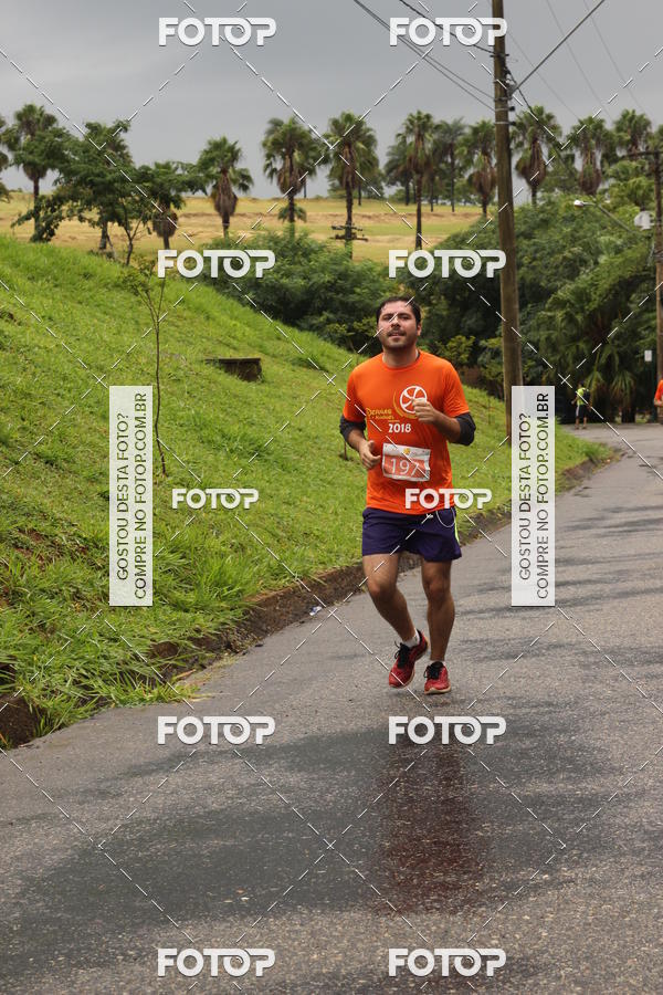 Buy your photos of the event3� Corrida Pernas de Aluguel 10K on Fotop