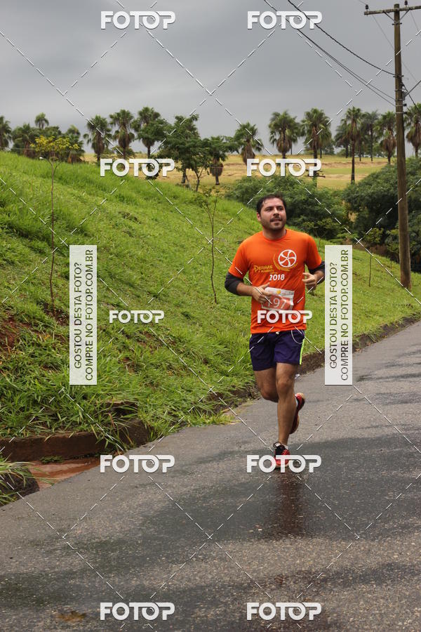 Buy your photos of the event3� Corrida Pernas de Aluguel 10K on Fotop