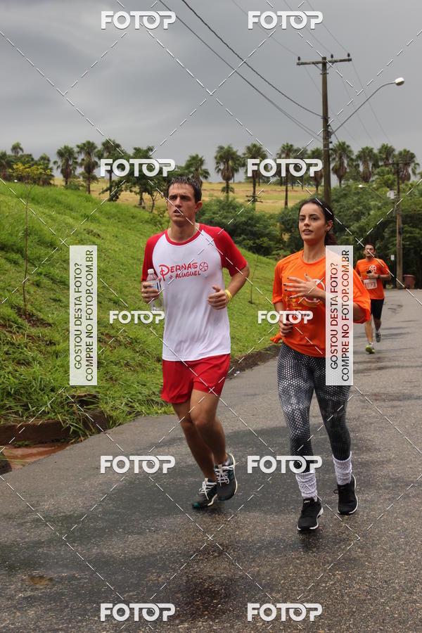 Buy your photos of the event3� Corrida Pernas de Aluguel 10K on Fotop
