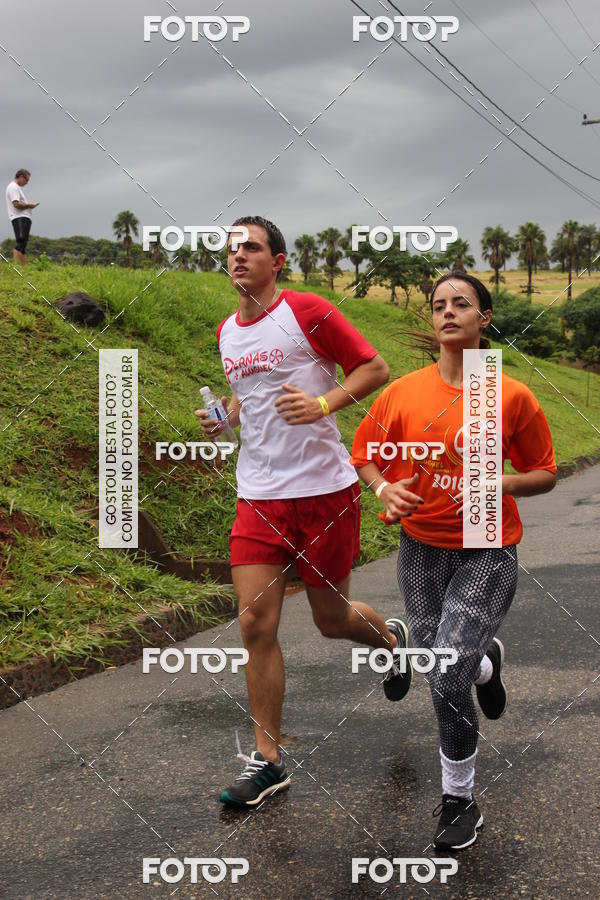 Buy your photos of the event3� Corrida Pernas de Aluguel 10K on Fotop