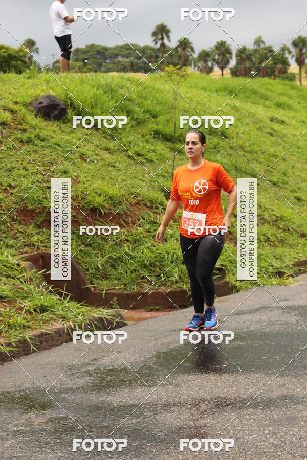 Buy your photos of the event3� Corrida Pernas de Aluguel 10K on Fotop