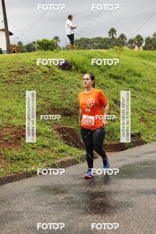 Buy your photos of the event3� Corrida Pernas de Aluguel 10K on Fotop