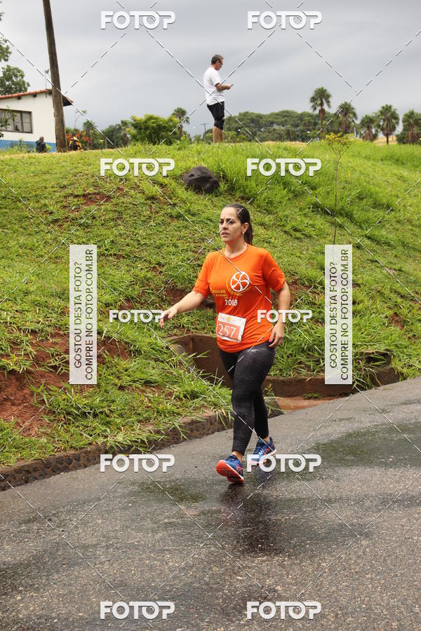 Buy your photos of the event3� Corrida Pernas de Aluguel 10K on Fotop