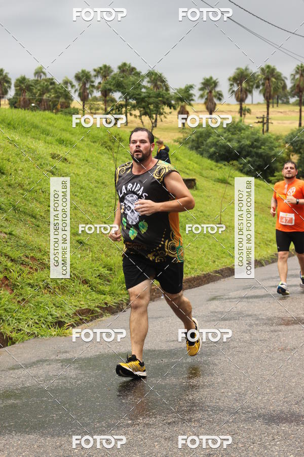 Buy your photos of the event3� Corrida Pernas de Aluguel 10K on Fotop