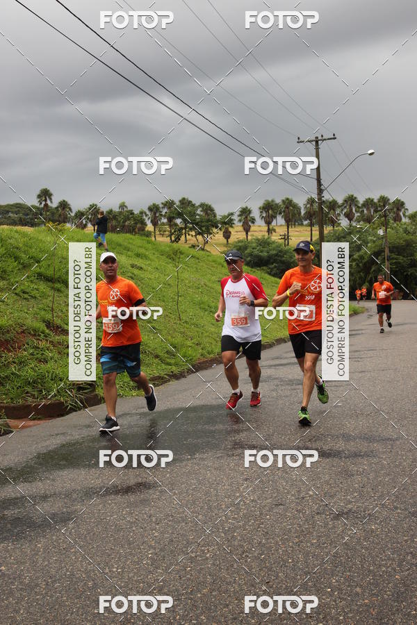 Buy your photos of the event3� Corrida Pernas de Aluguel 10K on Fotop