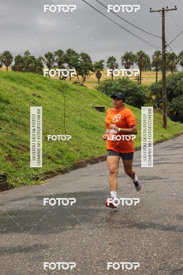 Buy your photos of the event3� Corrida Pernas de Aluguel 10K on Fotop