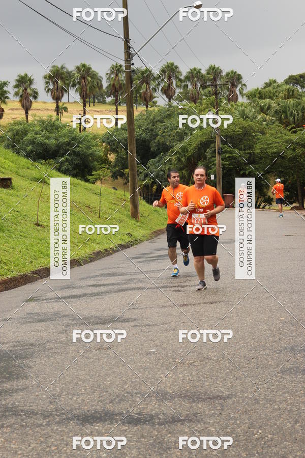 Buy your photos of the event3� Corrida Pernas de Aluguel 10K on Fotop