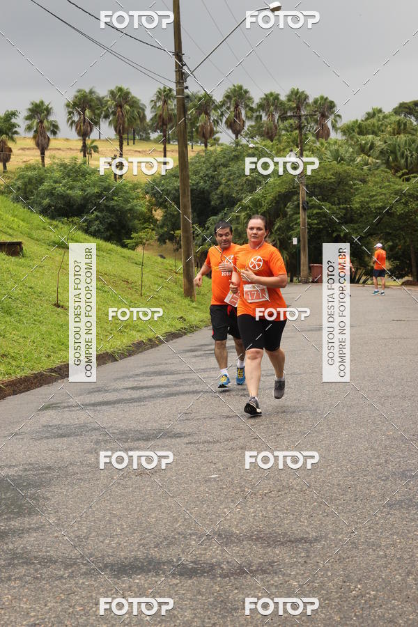Buy your photos of the event3� Corrida Pernas de Aluguel 10K on Fotop
