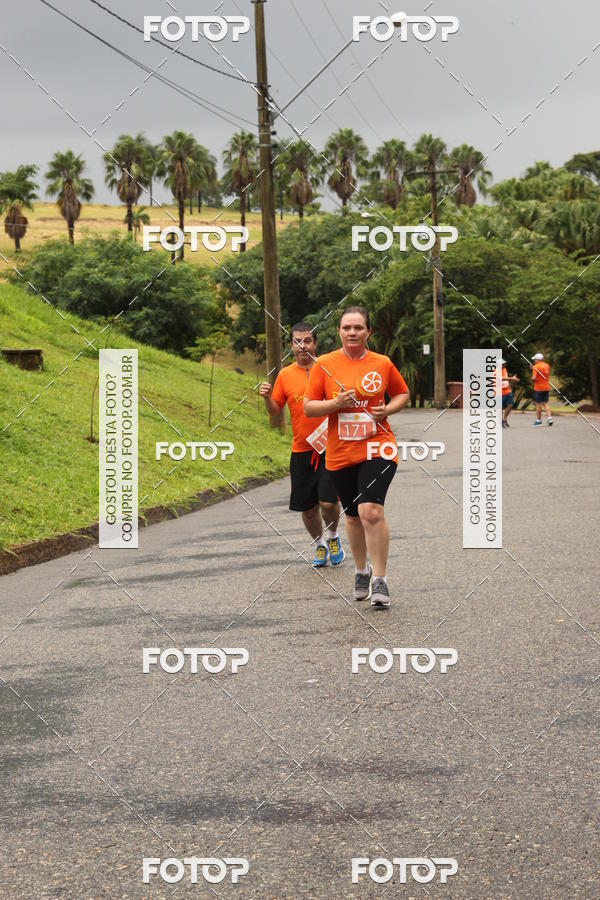Buy your photos of the event3� Corrida Pernas de Aluguel 10K on Fotop