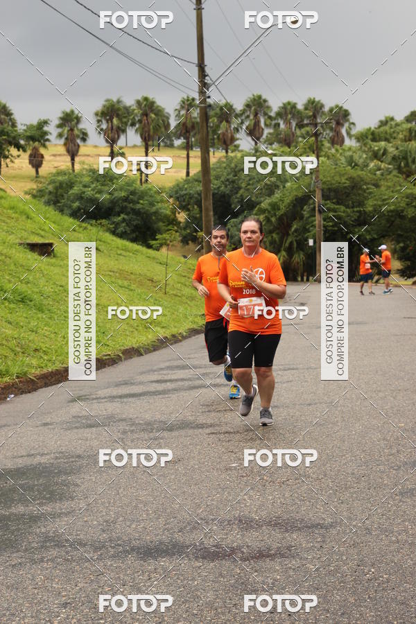 Buy your photos of the event3� Corrida Pernas de Aluguel 10K on Fotop