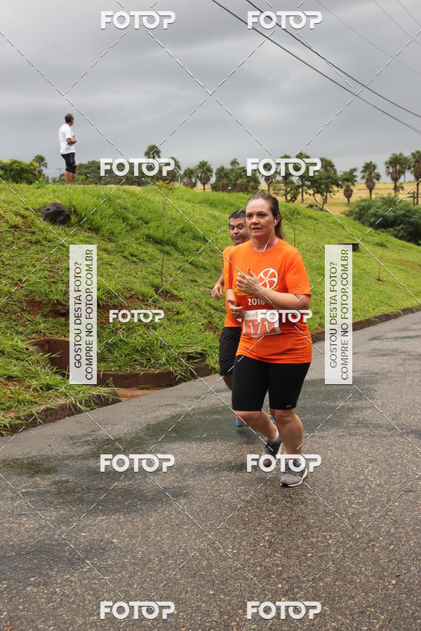 Buy your photos of the event3� Corrida Pernas de Aluguel 10K on Fotop