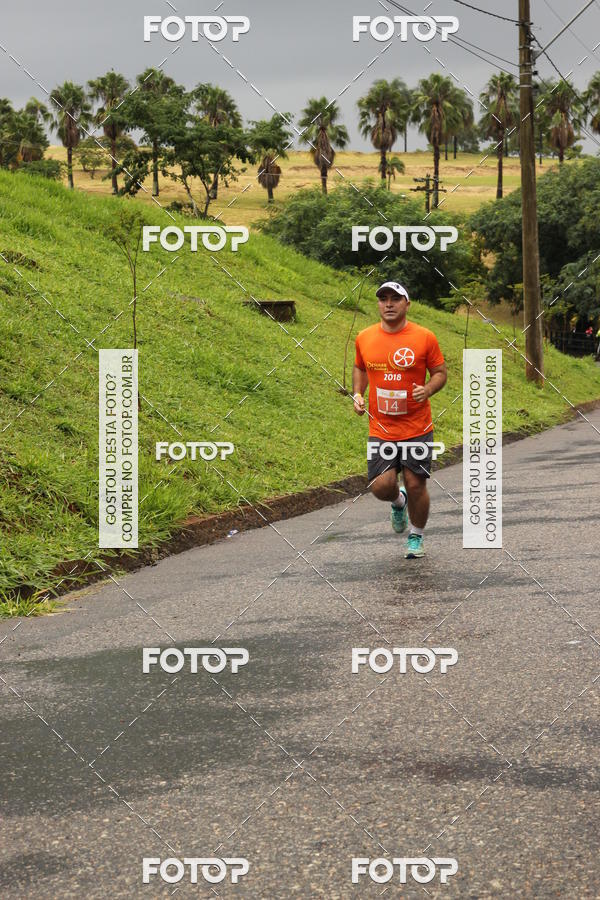 Buy your photos of the event3� Corrida Pernas de Aluguel 10K on Fotop