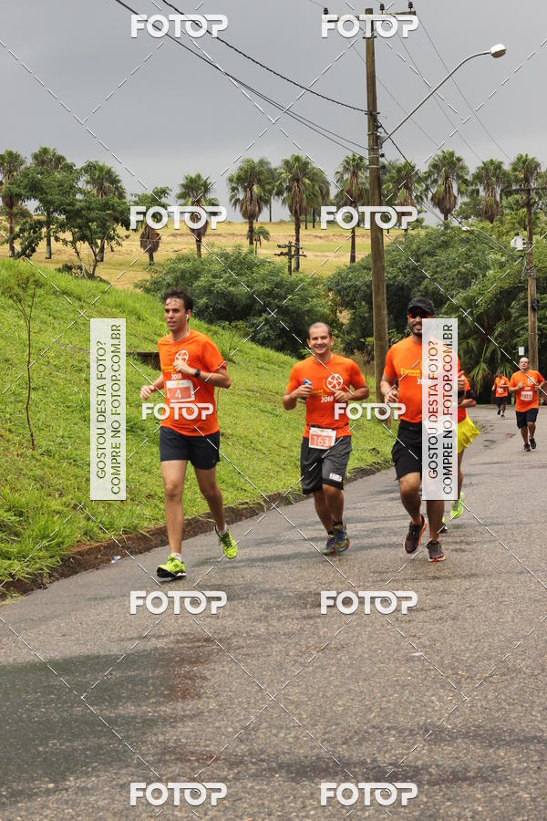 Buy your photos of the event3� Corrida Pernas de Aluguel 10K on Fotop