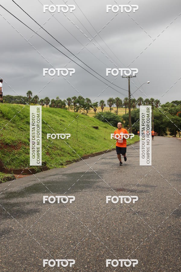 Buy your photos of the event3� Corrida Pernas de Aluguel 10K on Fotop