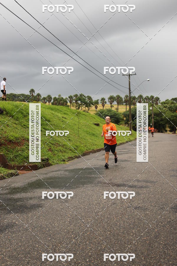 Buy your photos of the event3� Corrida Pernas de Aluguel 10K on Fotop