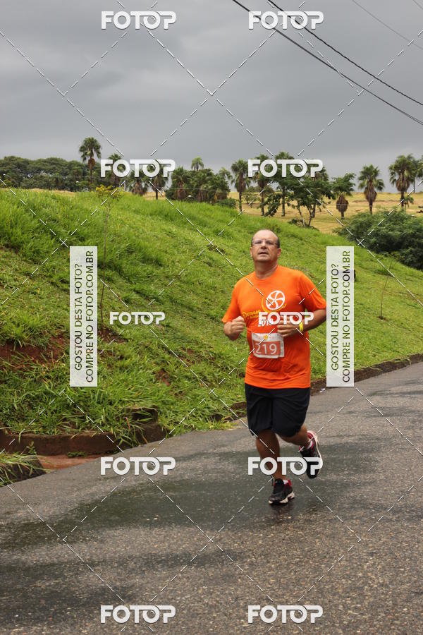 Buy your photos of the event3� Corrida Pernas de Aluguel 10K on Fotop