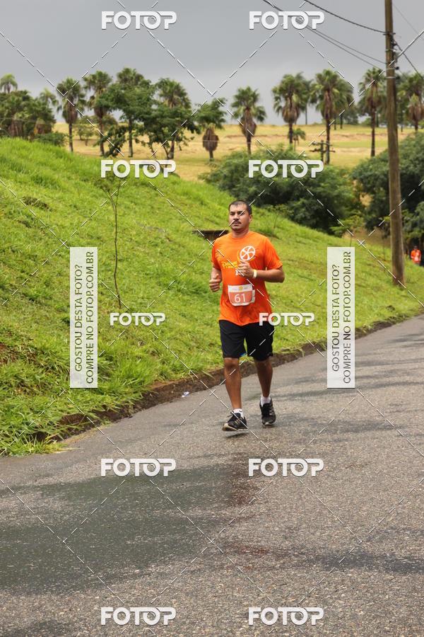 Buy your photos of the event3� Corrida Pernas de Aluguel 10K on Fotop