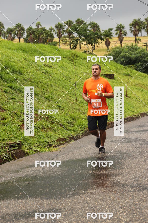 Buy your photos of the event3� Corrida Pernas de Aluguel 10K on Fotop