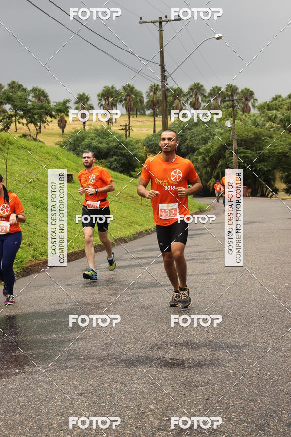 Buy your photos of the event3� Corrida Pernas de Aluguel 10K on Fotop