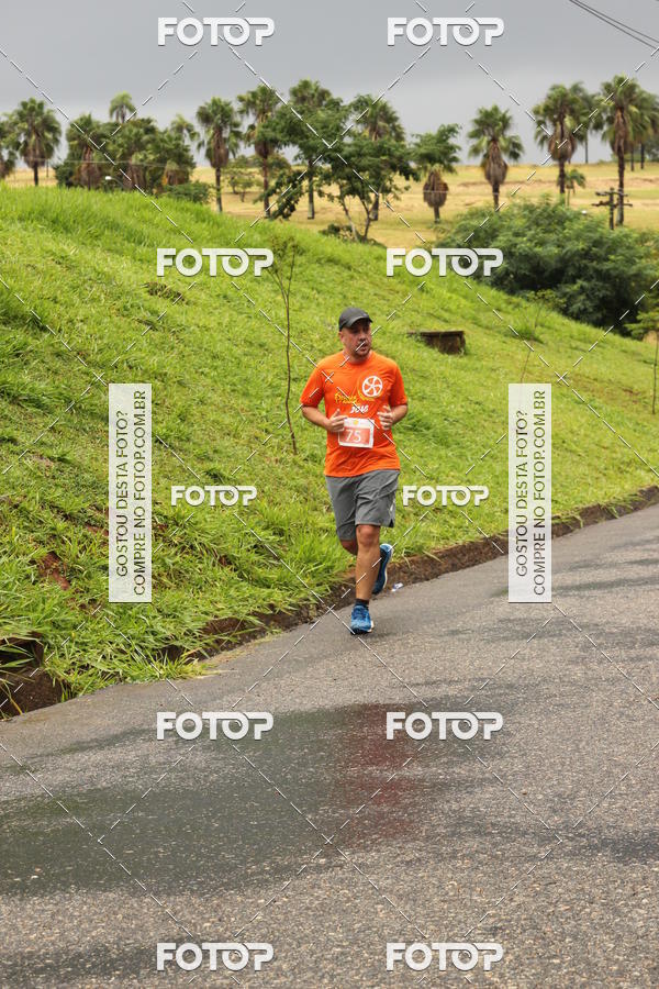 Buy your photos of the event3� Corrida Pernas de Aluguel 10K on Fotop
