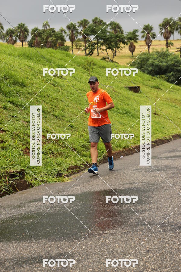 Buy your photos of the event3� Corrida Pernas de Aluguel 10K on Fotop