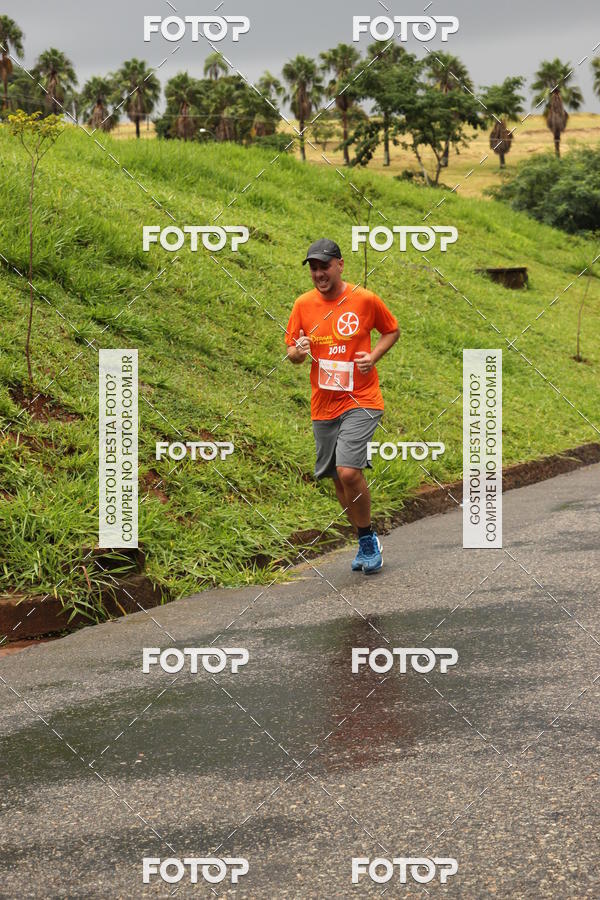 Buy your photos of the event3� Corrida Pernas de Aluguel 10K on Fotop