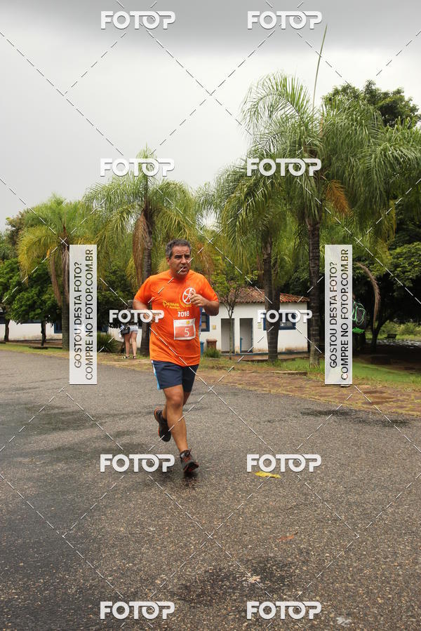 Buy your photos of the event3� Corrida Pernas de Aluguel 10K on Fotop