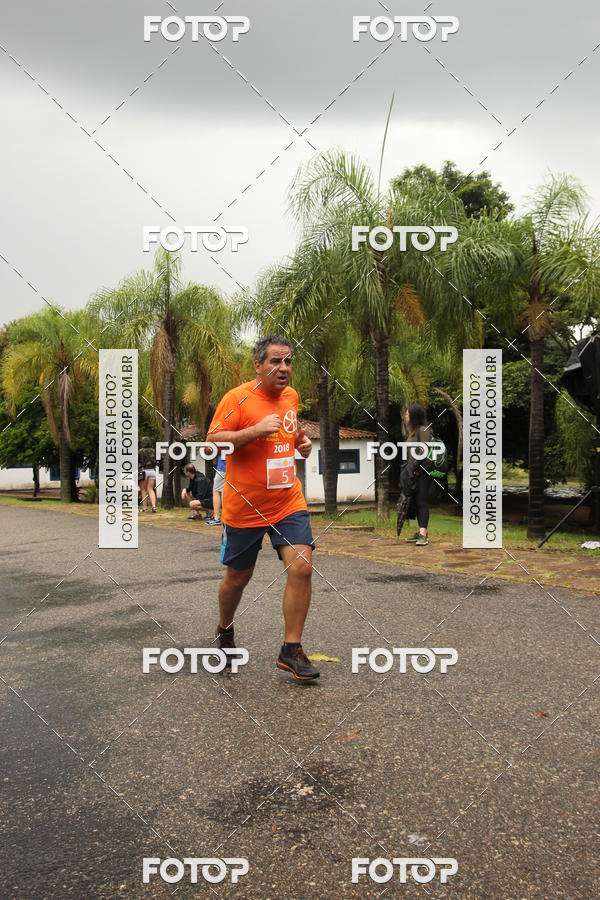 Buy your photos of the event3� Corrida Pernas de Aluguel 10K on Fotop