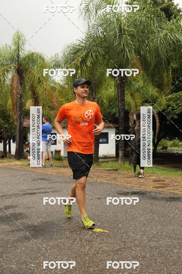 Buy your photos of the event3� Corrida Pernas de Aluguel 10K on Fotop