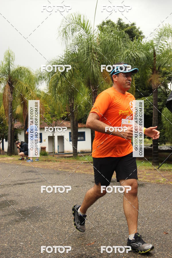 Buy your photos of the event3� Corrida Pernas de Aluguel 10K on Fotop