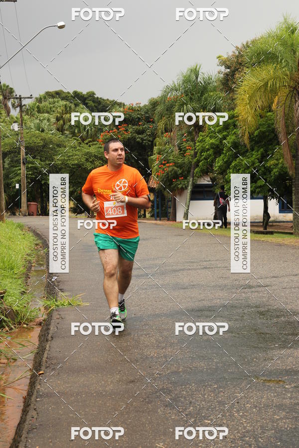 Buy your photos of the event3� Corrida Pernas de Aluguel 10K on Fotop