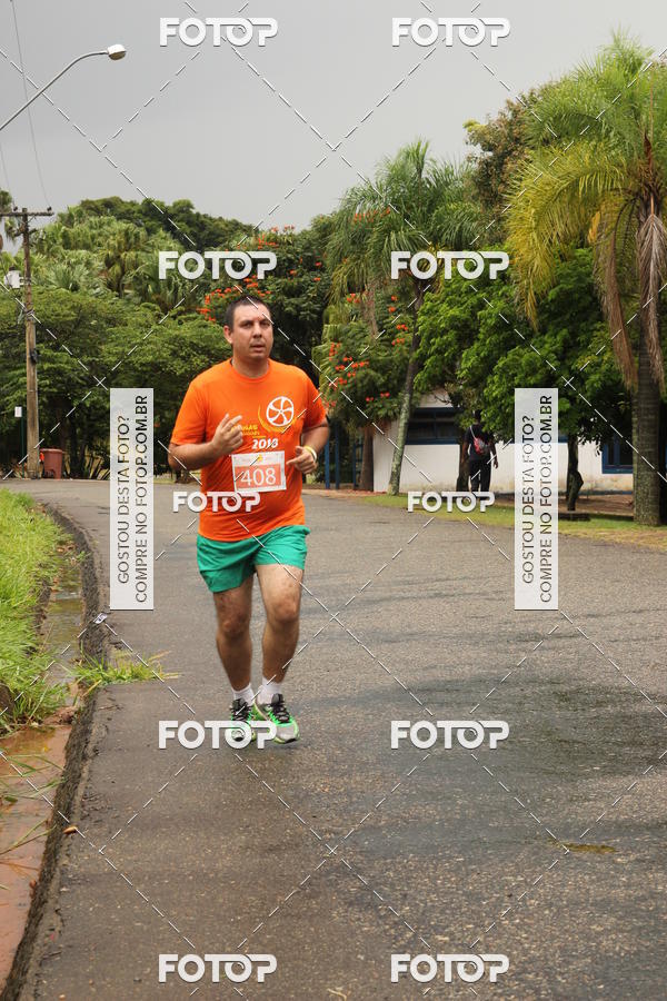 Buy your photos of the event3� Corrida Pernas de Aluguel 10K on Fotop